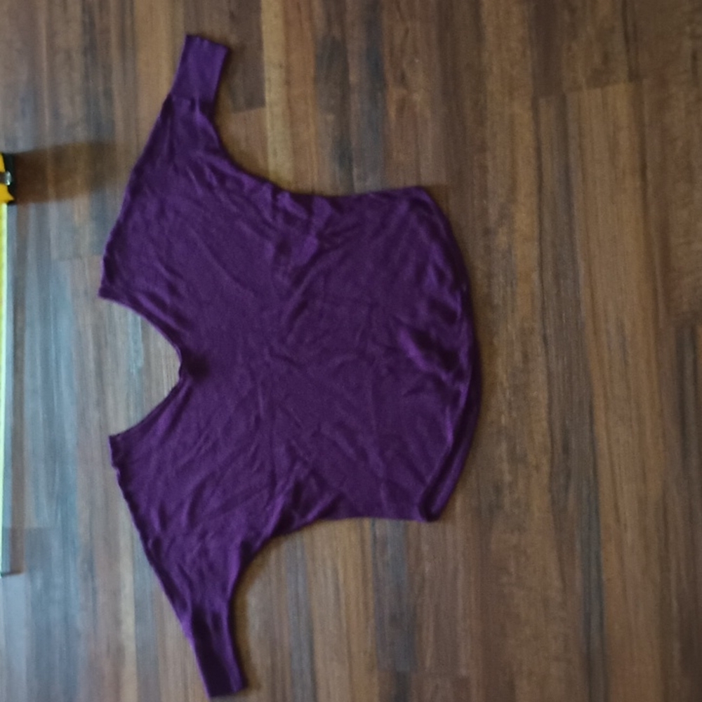 Express XS Grape Colored Sweater